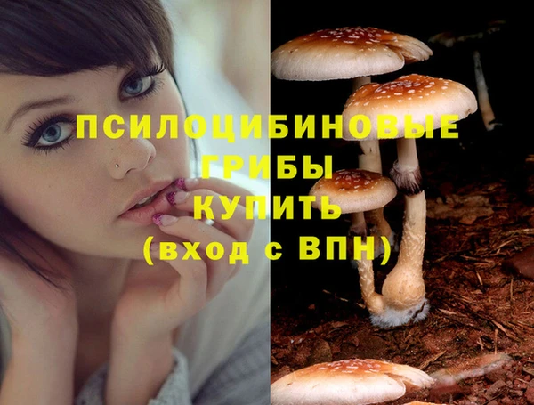 spice Алзамай